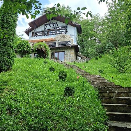 Vila Gigi, Ideala Pentru Relaxare Si Distractie! 브레아자 외부 사진