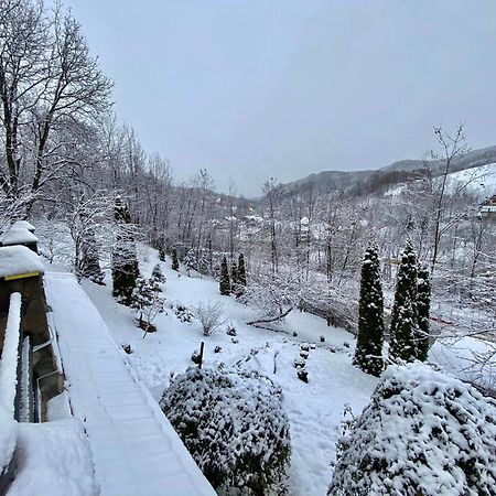 Vila Gigi, Ideala Pentru Relaxare Si Distractie! 브레아자 외부 사진