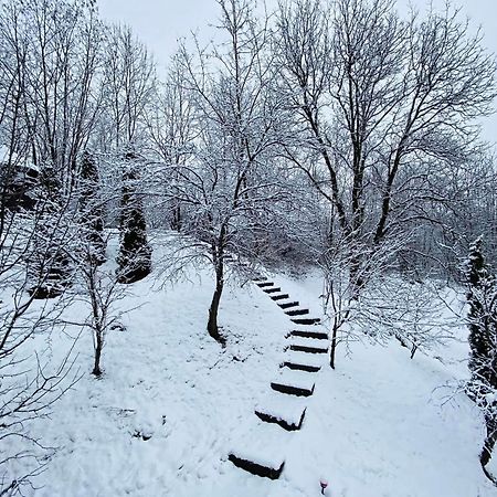 Vila Gigi, Ideala Pentru Relaxare Si Distractie! 브레아자 외부 사진