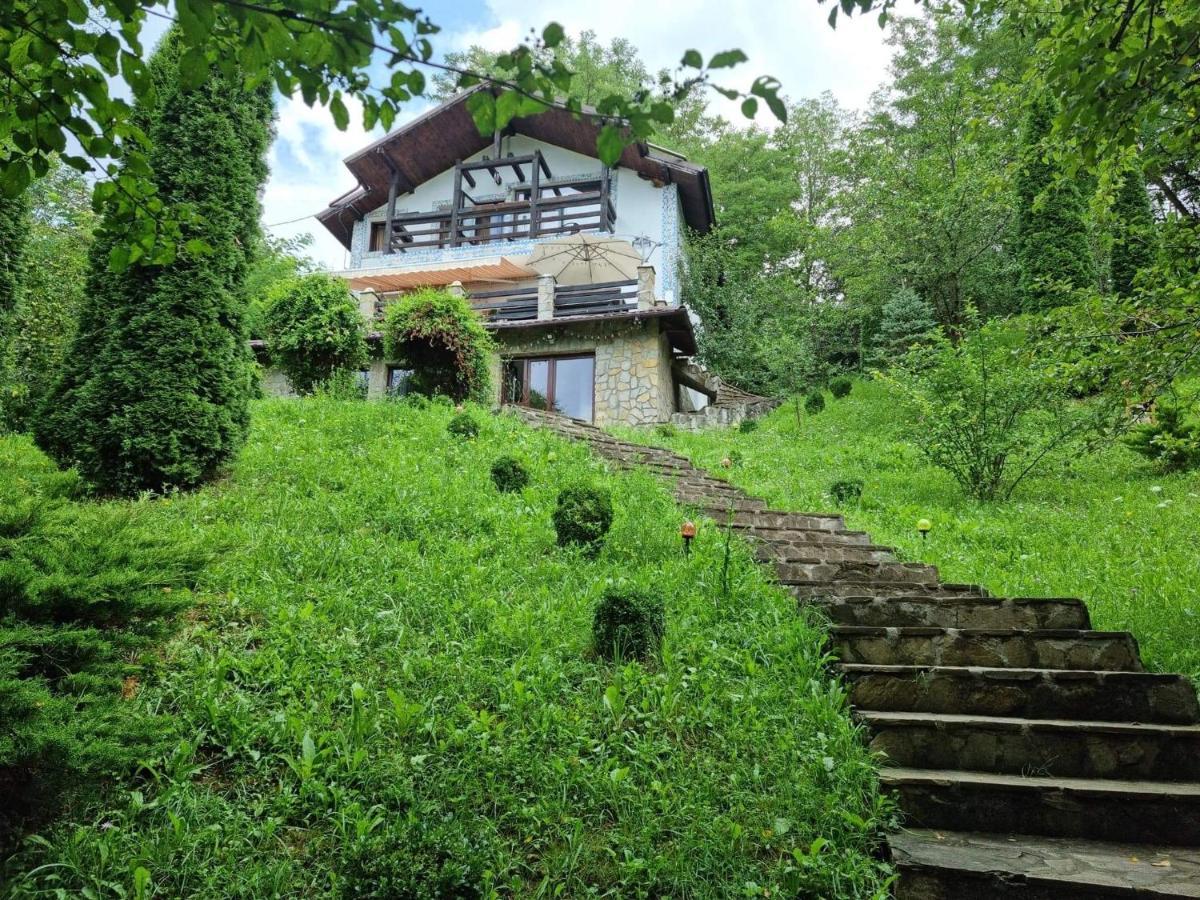 Vila Gigi, Ideala Pentru Relaxare Si Distractie! 브레아자 외부 사진