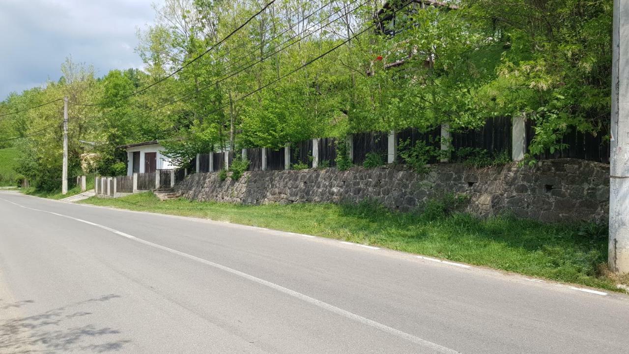 Vila Gigi, Ideala Pentru Relaxare Si Distractie! 브레아자 외부 사진